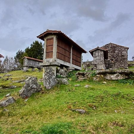 Casa Da Rosa Porreiras Villa Paredes de Coura Eksteriør billede